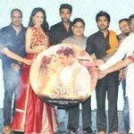 Kanche Movie Audio Function Photos