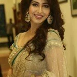 Sonarika-at-ERAR-audio-launch-005