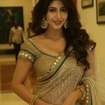 Sonarika-at-ERAR-audio-launch-028